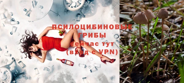 таблы Армянск